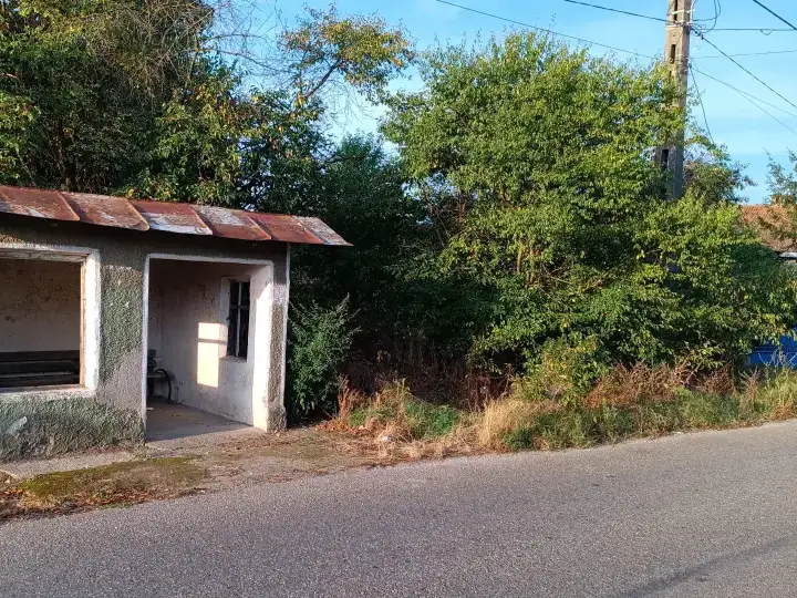 De vanzare teren intravilan cu padure – Potlogeni Vale, com. Crangurile, jud. Dambovita img 6